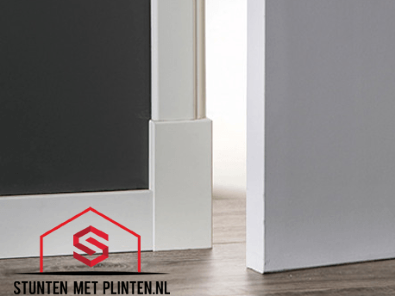 Plintneut-logo.png